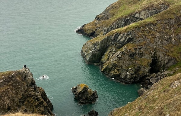 Felsige Klippen mit Grasflächen fallen zum türkisfarbenen Wasser hin ab und bilden eine zerklüftete Küstenlinie. In der Nähe des Klippenfußes ragen große Felsen und Felsbrocken aus dem Meer. Der Himmel ist nicht zu sehen.
